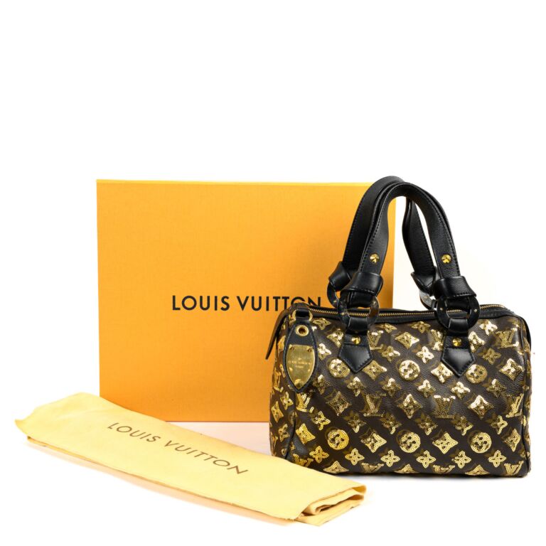 Louis Vuitton Limited Edition Sequin & Classic Monogram Canvas
