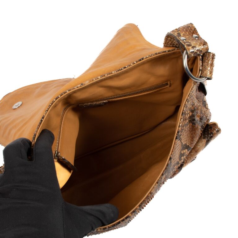 Dior python sales saddle bag