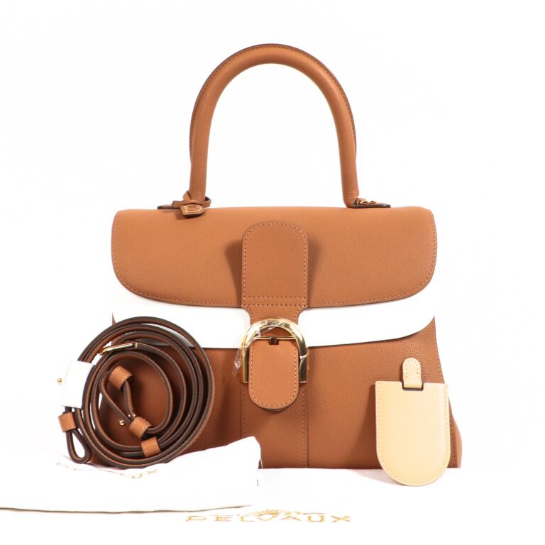 Delvaux Brillant MM Végétal Rodeo Calf ○ Labellov ○ Buy