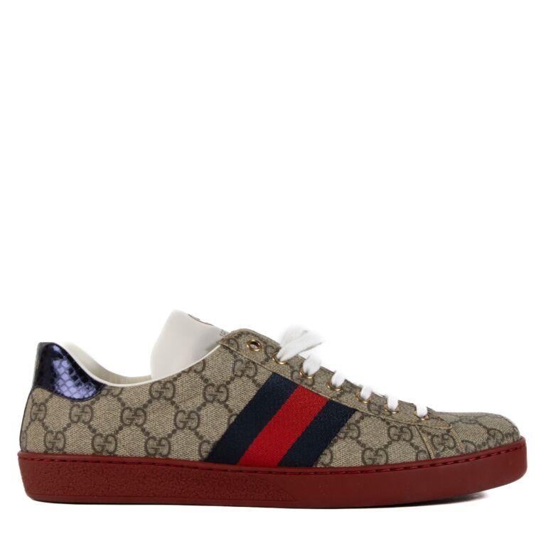 Gucci ace best sale 43