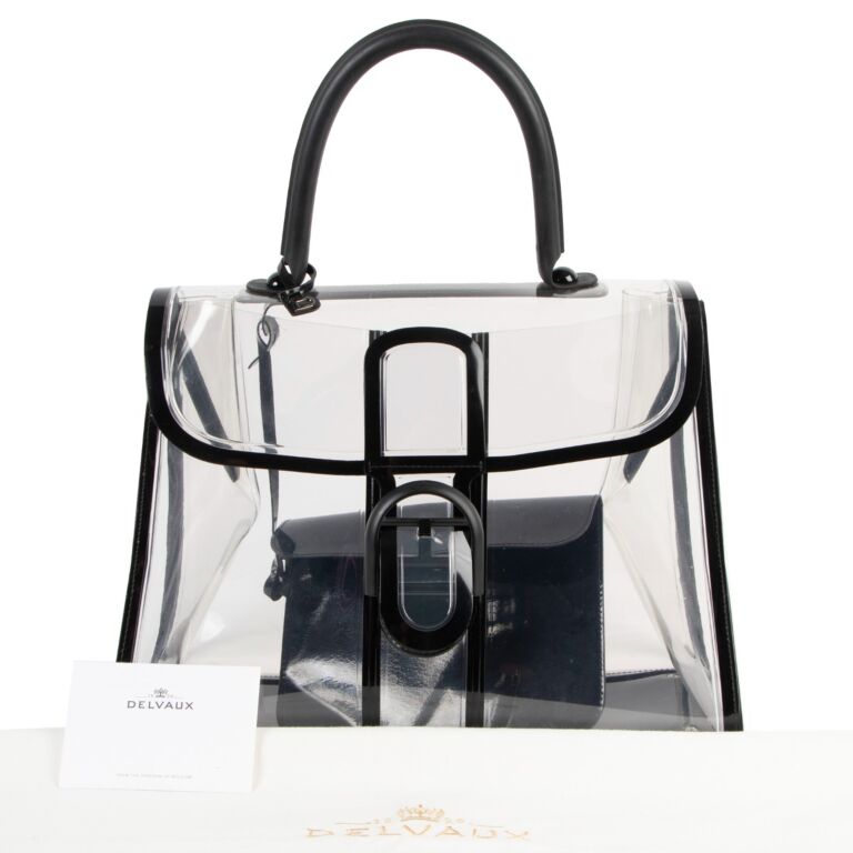 Delvaux x ray bag online