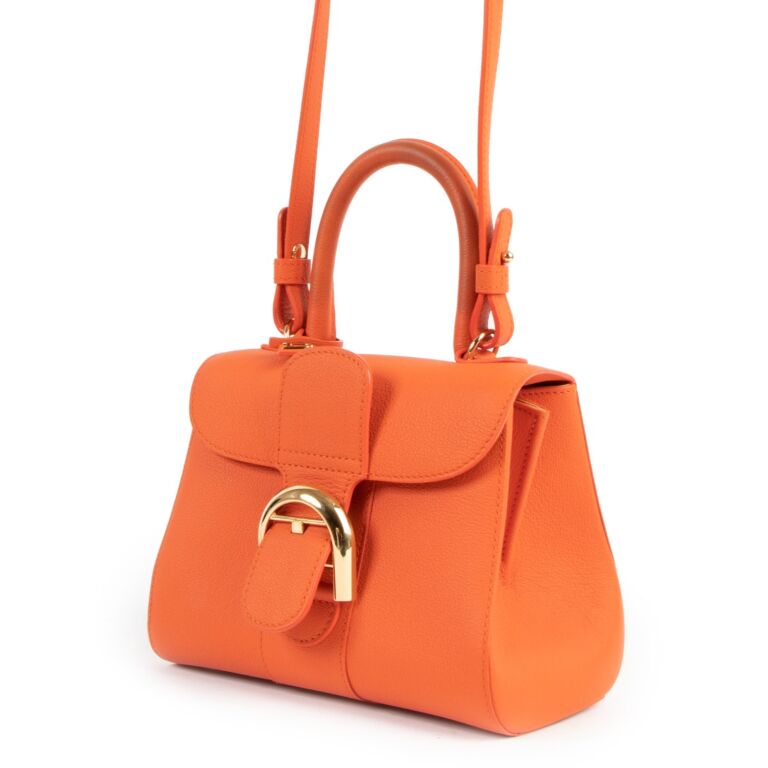Delvaux Brillant Mini Paprika Rodéo Calf Shoulder Bag