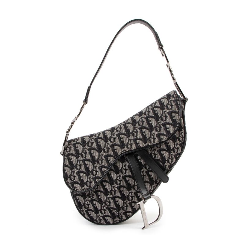 Dior canvas hotsell saddle bag