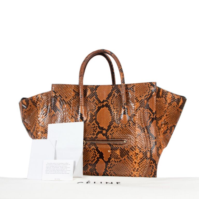 Celine Python Medium Luggage Phantom Handbag Labellov Buy