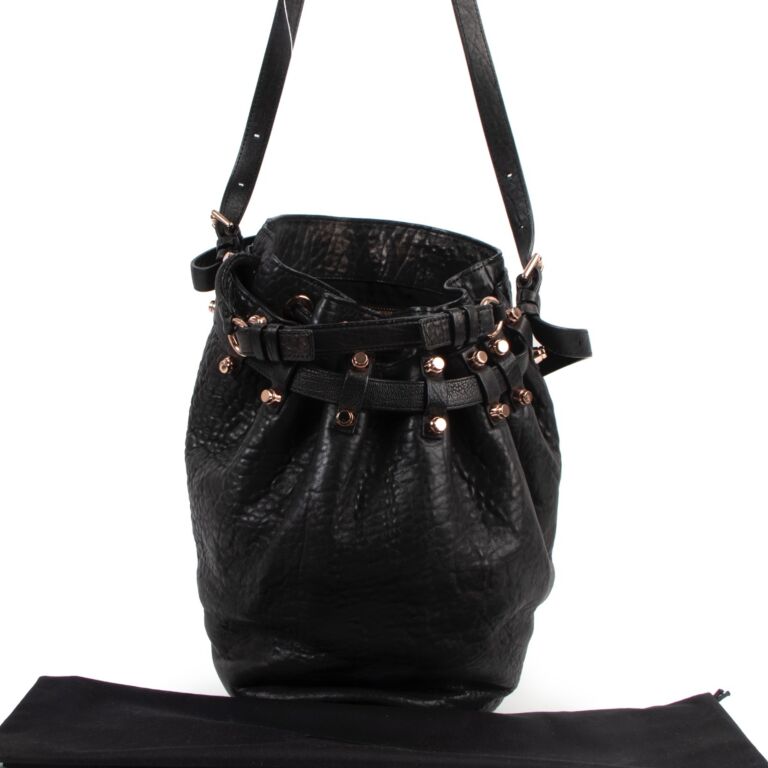 Alexander wang diego sale bag
