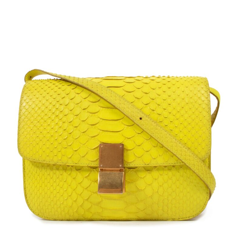 Celine box bag python best sale