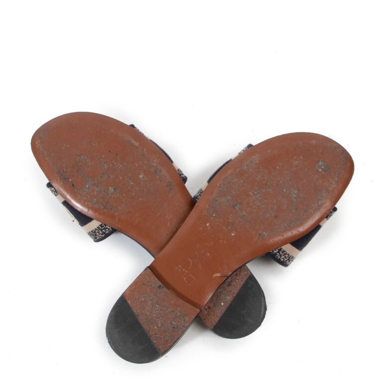 Dior embroidered outlet sandals