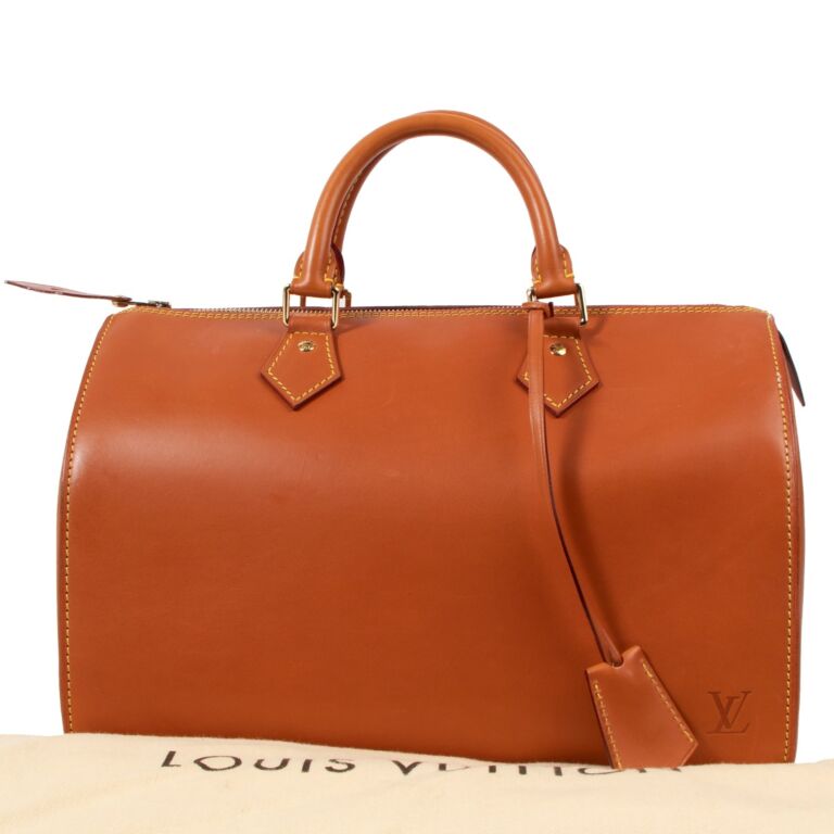 Louis Vuitton Speedy Bag ~ The Simply Luxurious Life Style