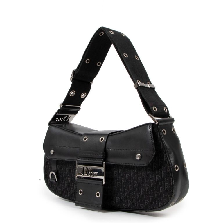 Christian dior street best sale chic bag