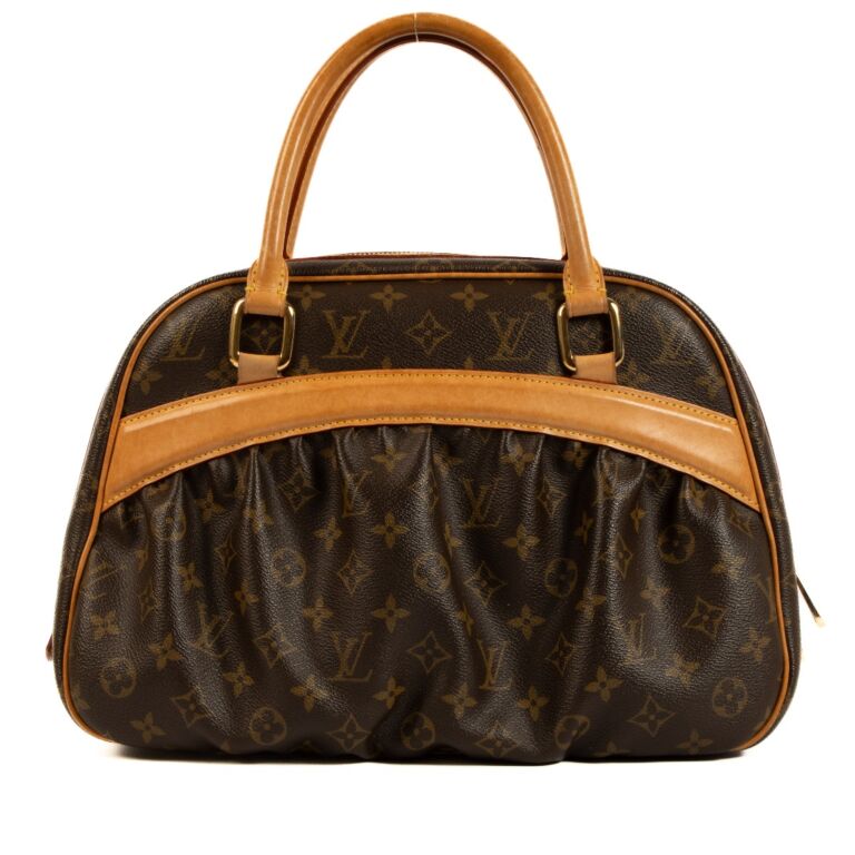 Louis Vuitton Monogram Canvas Mizi Bag