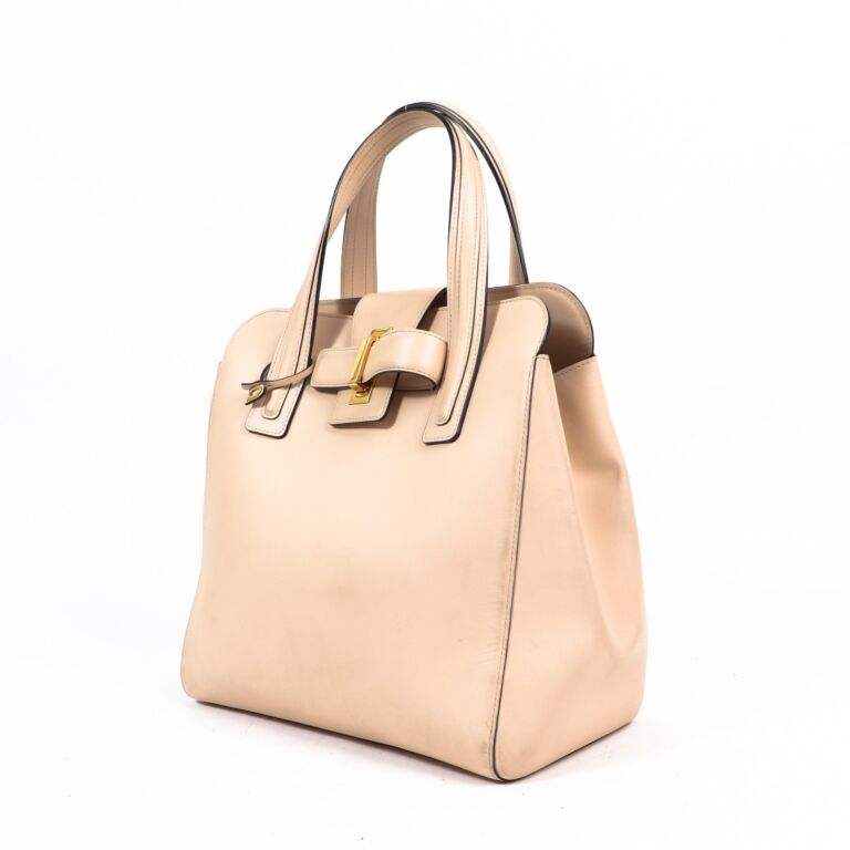 Delvaux Frame Pm Canvas Tote Bag