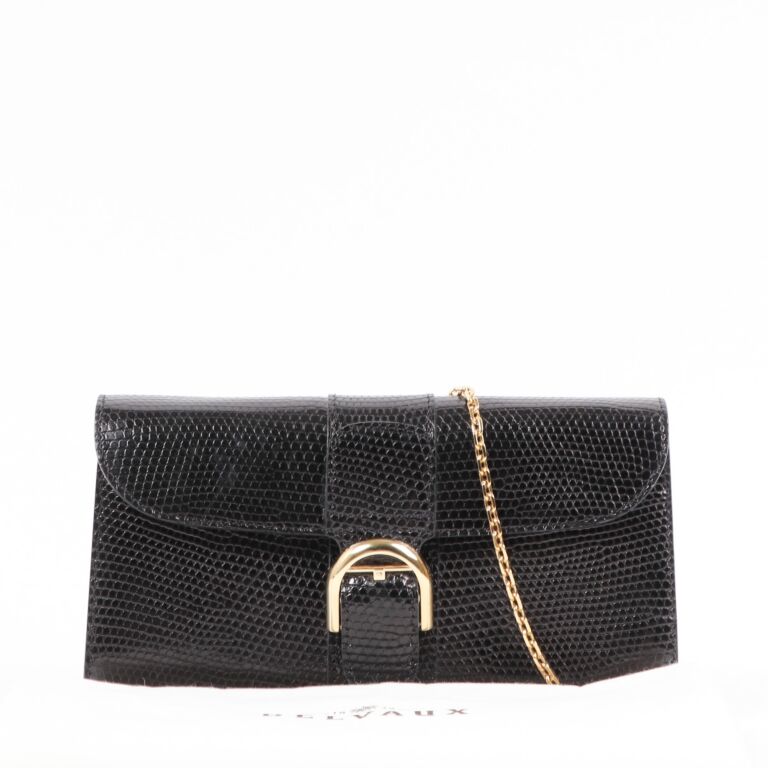 【DELVAUX直営店】Brillant Long Wallet Chain Delvaux Brillant Long Wallet Chain 2022 - Stylish and