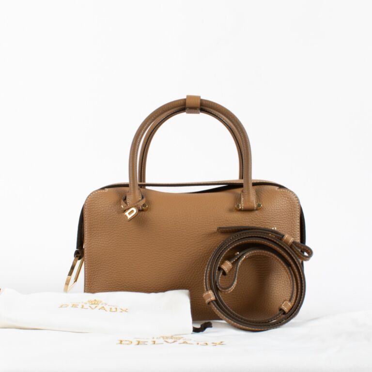 Delvaux Vegetal Cool Box MM Bag ○ Labellov ○ Buy and Sell
