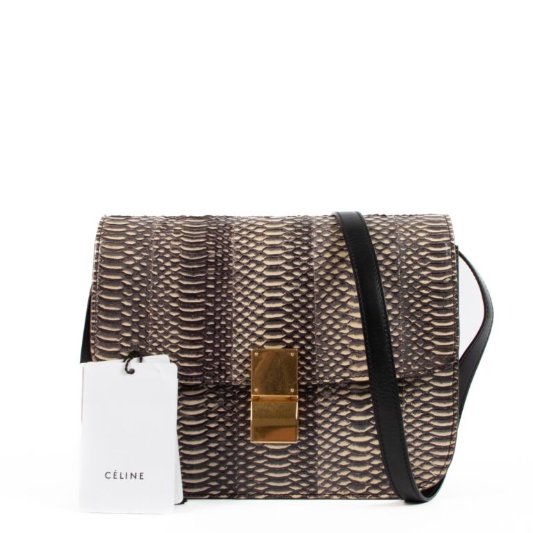 Celine Snakeskin Medium Classic Box Bag ○ Labellov ○ Buy And Sell Authentic  Luxury