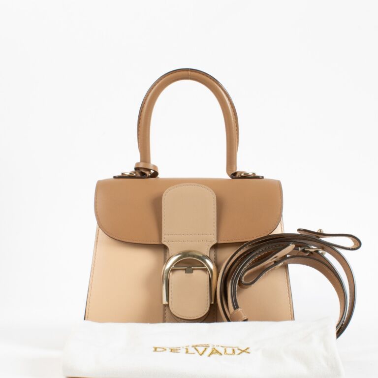Delvaux Nude Camaieux Box Calf Brillant Mini ○ Labellov ○ Buy