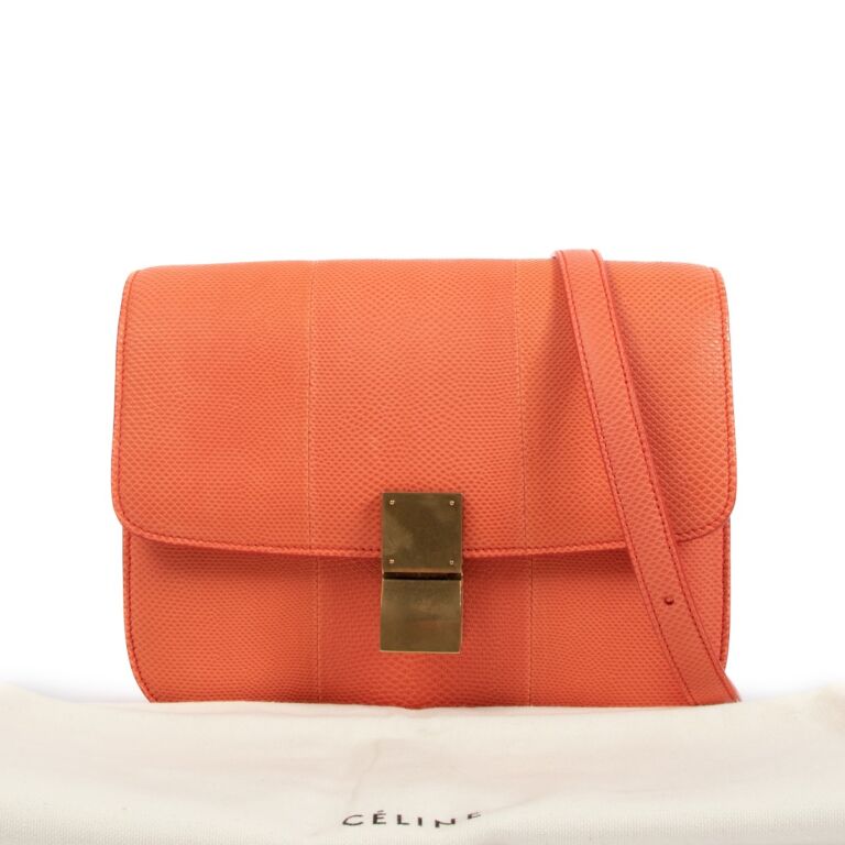 Céline Salmon Karung Snake Leather Medium Classic Box Bag