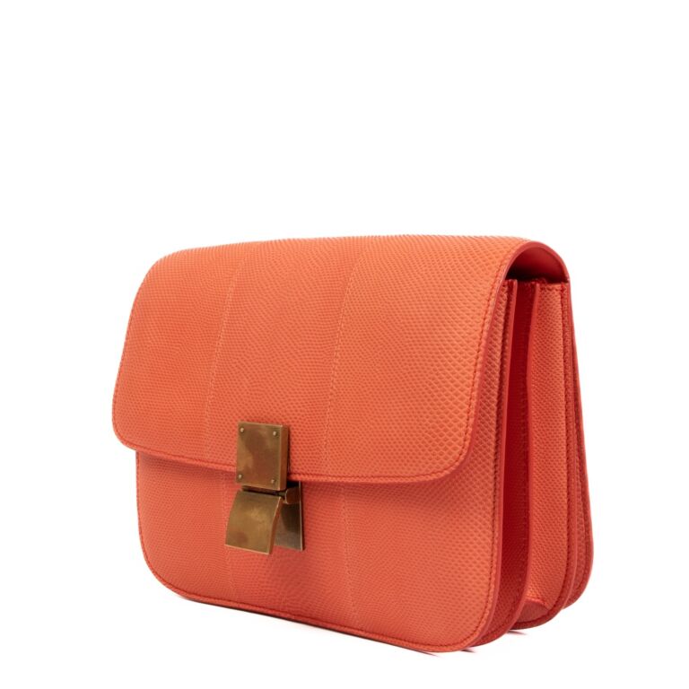 Celine box bag goatskin clearance