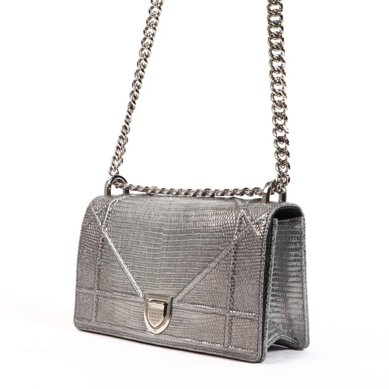 Diorama sales silver clutch