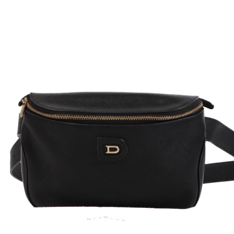 Delvaux belt bag deals