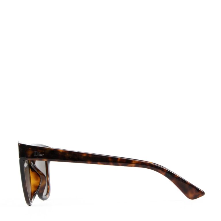 Christian Dior Brown Acetate Soft 1 Cat Eye Sunglasses