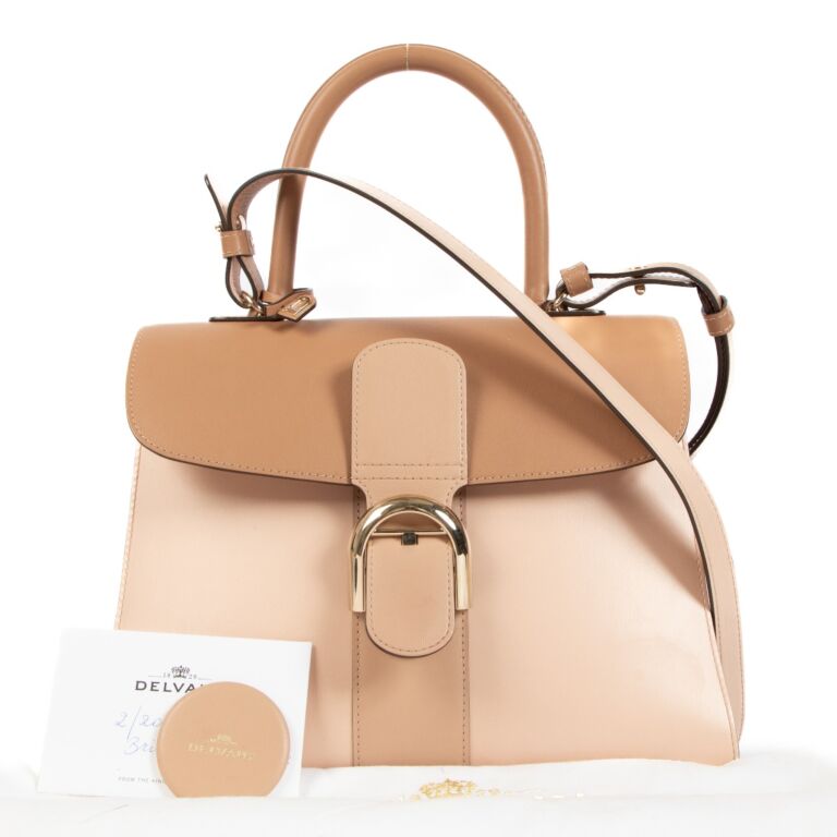 ハンドバッグ DELVAUX Brillant mm box calf camaieux DELVAUX Box Calfskin Mini Brillant Satchel Camaieux 1664138