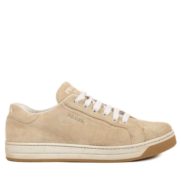 Prada suede sneakers 2025