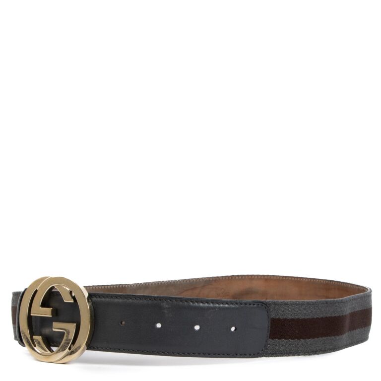 Gucci best sale grey belt