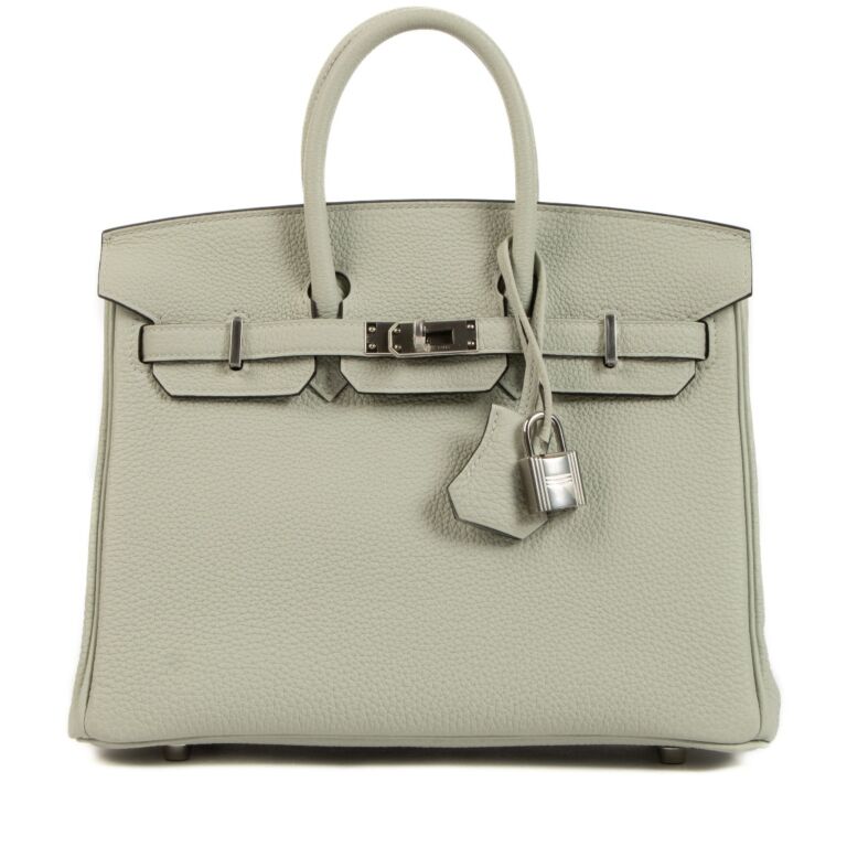 Hermes Birkin 25 Gris Pale Togo Palladium Hardware in 2023