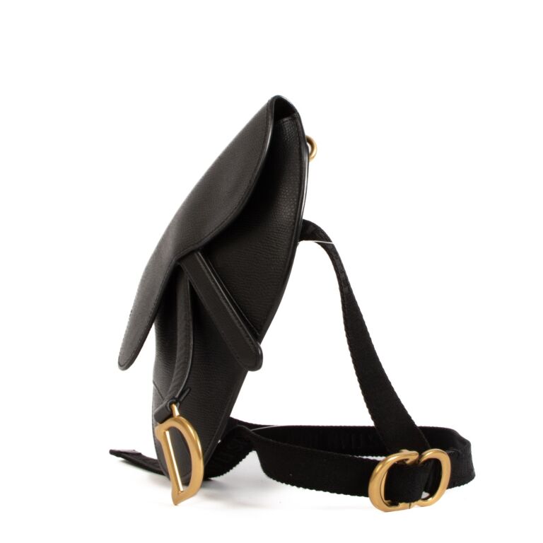 Dior belt hot sale saddle bag