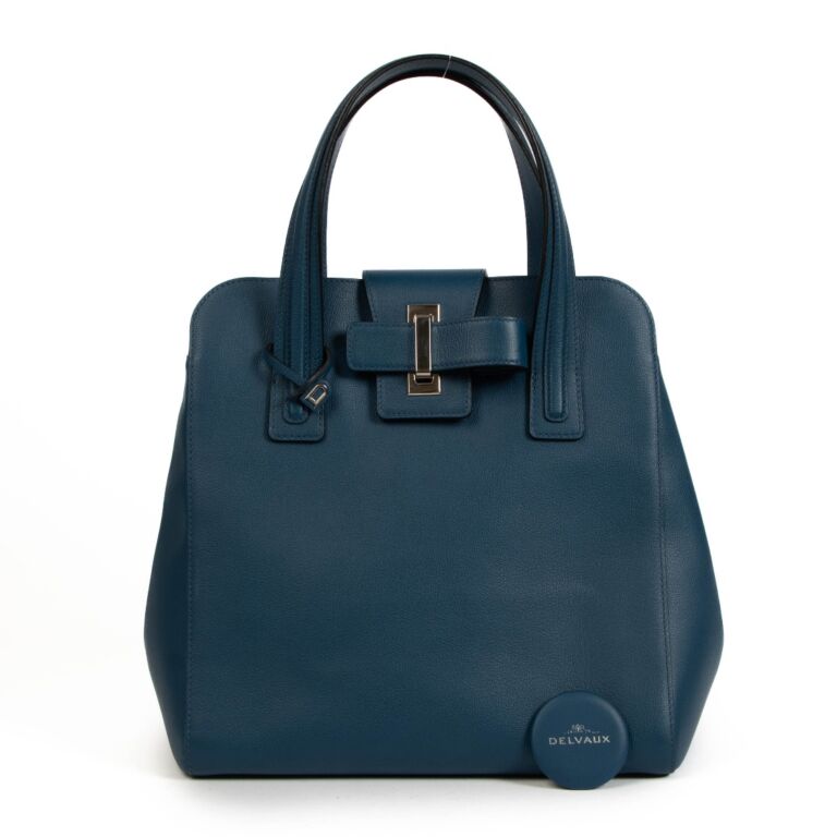 DELVAUX 青 レザー ケース DELVAUX 青 レザー ケース DELVAUX 送料無料