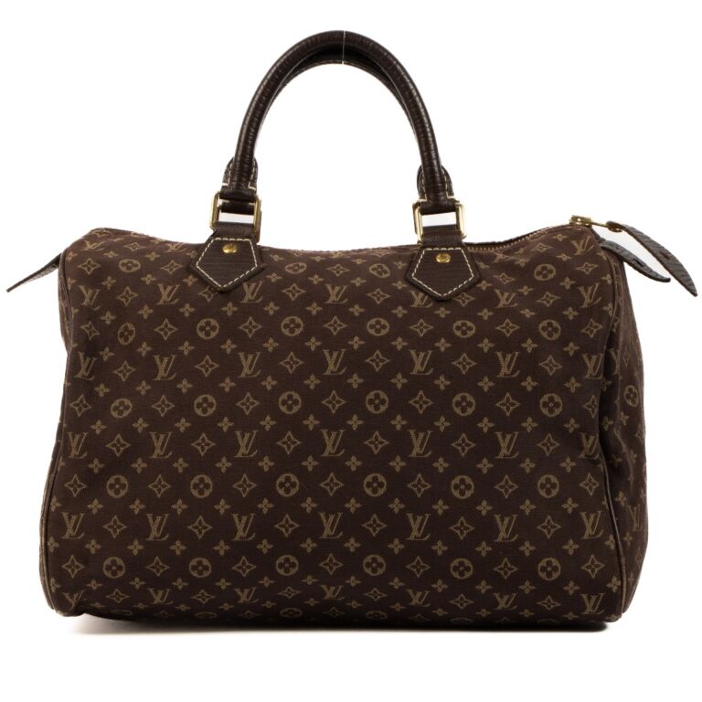 Louis Vuitton Monogram Mini Speedy Hand Shoulder Bag