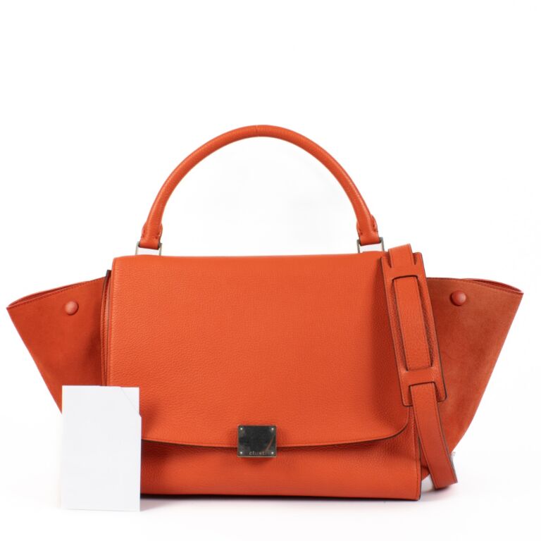 バッグ CELINE TRAPEZE SUEDE LEATHER HAND BAG CELINE Authentic trapeze bag NWT Multicolor Leather/Suede | eBay