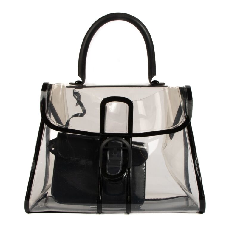 Delvaux x ray sale bag