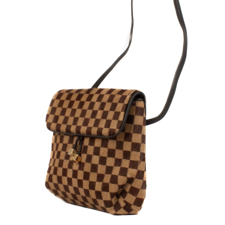 Louis Vuitton Damier Sauvage Gazelle Crossbody Bag