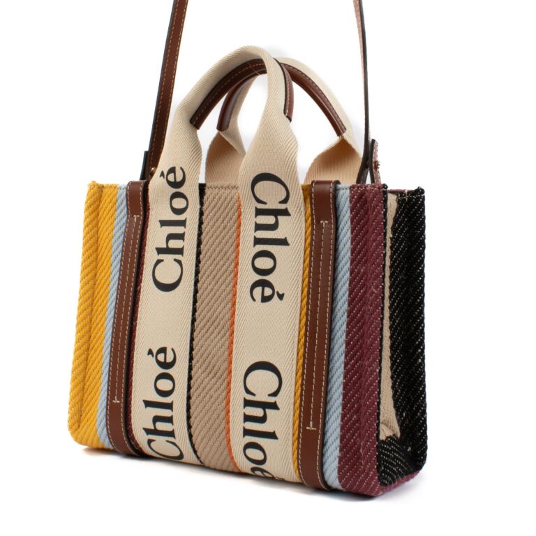 Chloe Multicolor Small Woody Bag Labellov Buy and Sell Authentic Luxury