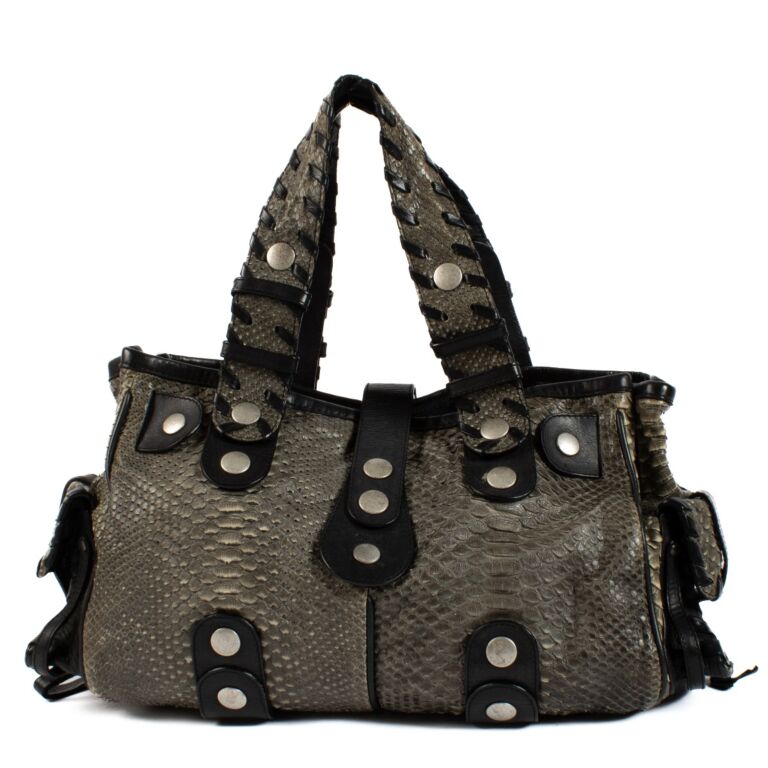 Chloé Grey Python Silverado Bag ○ Labellov ○ Buy and Sell
