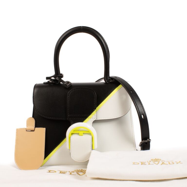 Delvaux Box Calf Brillant Mini City Chic Labellov Buy and Sell Authentic Luxury