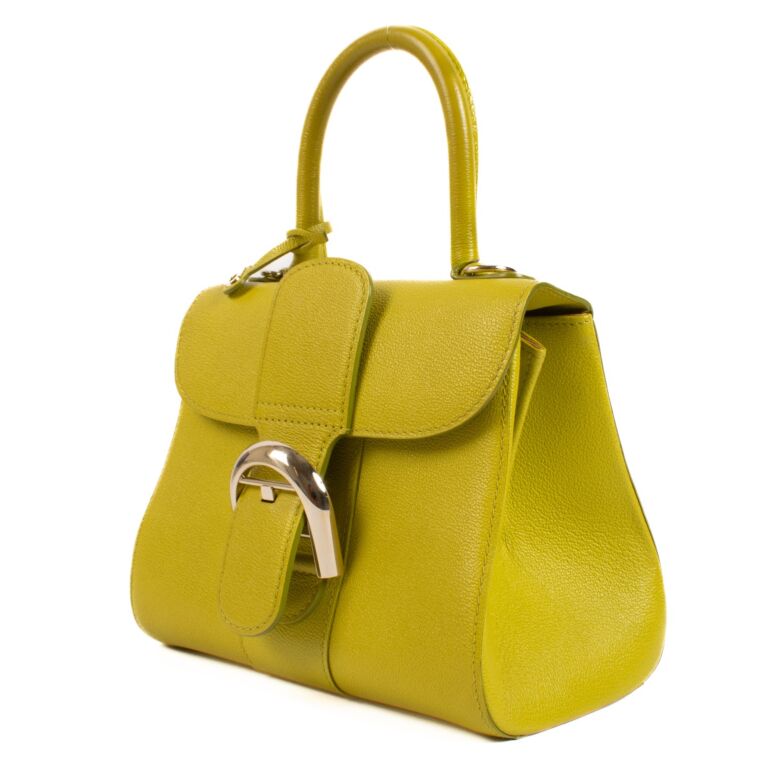 Delvaux Absinthe Rodeo Calf Brillant Mini ○ Labellov ○ Buy
