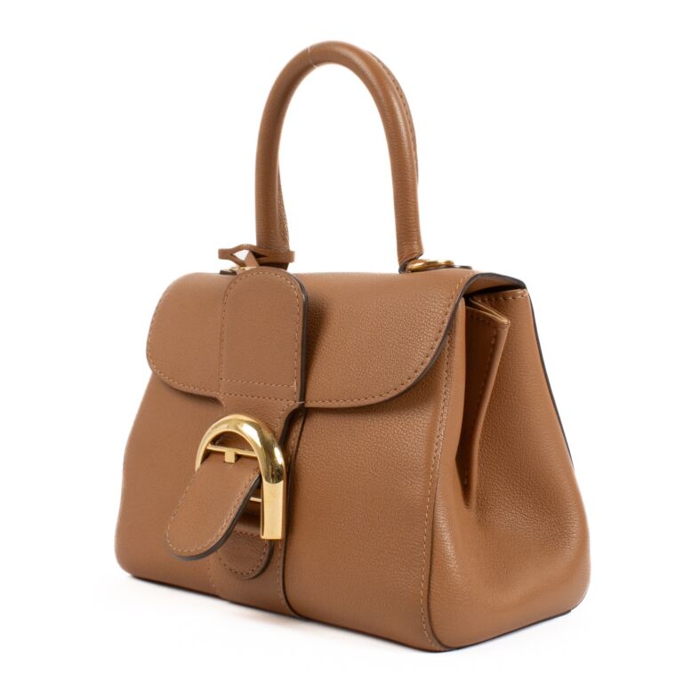 Delvaux Vegetal Sellier Brillant Mini ○ Labellov ○ Buy and