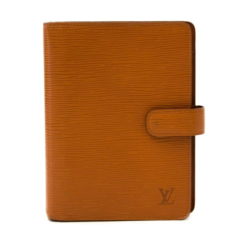 Louis Vuitton Louis Vuitton Mocha Epi Leather Small Agenda Cover-6