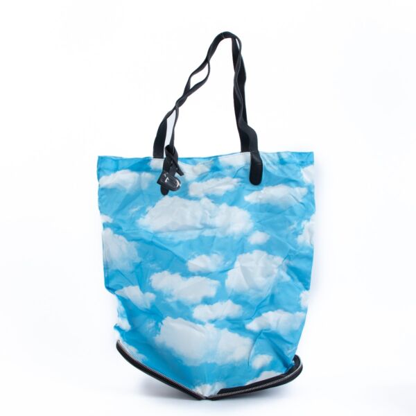 Delvaux Kangourou Rodéo Calf & Toile Nuage Foldable Tote Bag