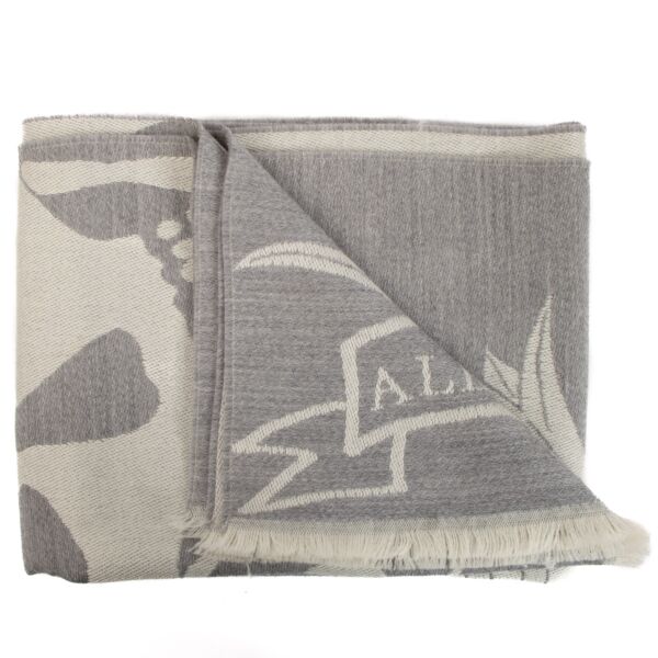 Alexander McQueen Grey Skull Wool Stole Scarf