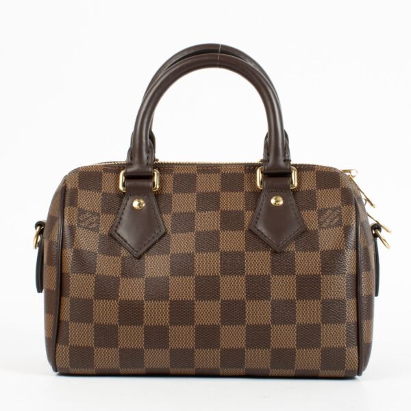 Louis Vuitton Damier Ebene Speedy 20