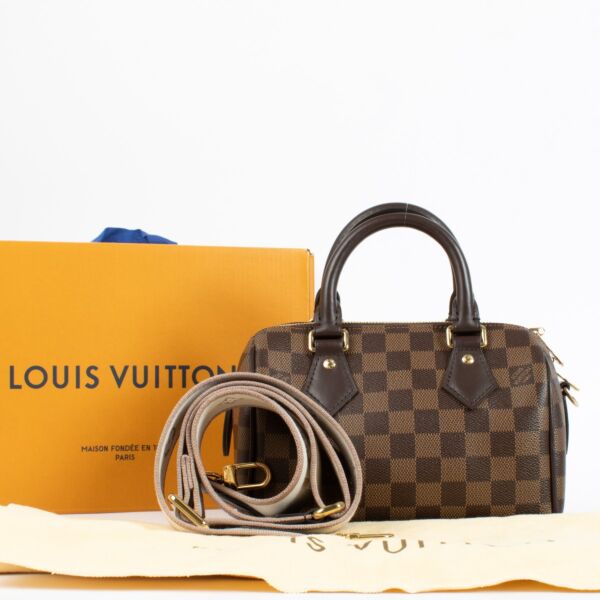 Louis Vuitton Damier Ebene Speedy 20