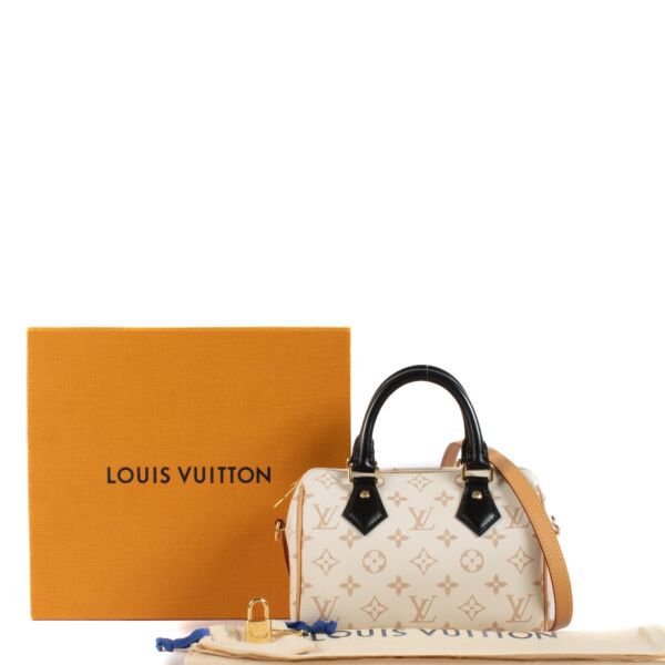 Louis Vuitton Monogram Dune Speedy Bandoulière 20