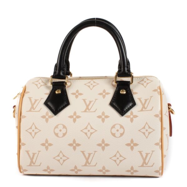 shop 100% authentic second hand Louis Vuitton Monogram Dune Speedy 20 on Labellov.com