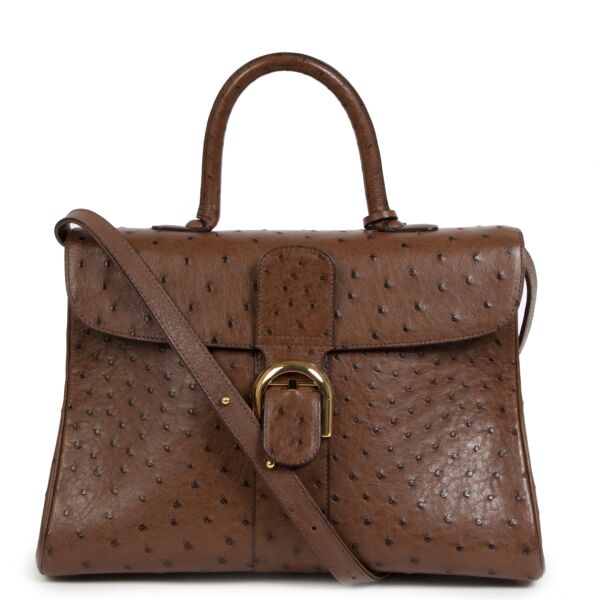 Delvaux Brillant GM Ostrich Brown