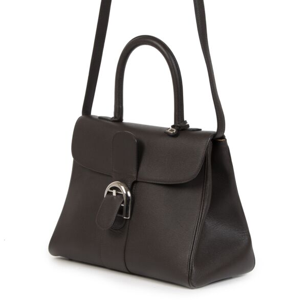 Delvaux Chocolat Brown Brillant MM + Strap