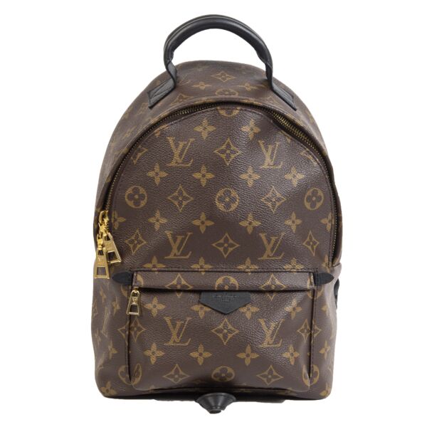 Louis Vuitton Palm Springs PM Backpack