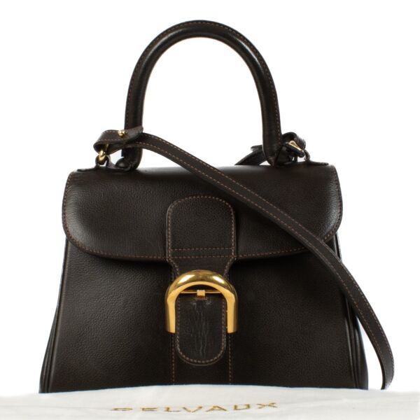 Delvaux Brown Leather Brillant PM Bag